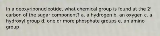 In a deoxyribonucleotide, what chemical group is found at the 2' carbon of the sugar component? a. a hydrogen b. an oxygen c. a hydroxyl group d. one or more phosphate groups e. an amino group