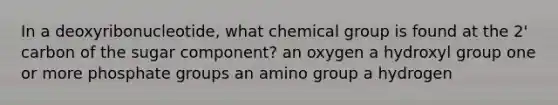 In a deoxyribonucleotide, what chemical group is found at the 2' carbon of the sugar component? an oxygen a hydroxyl group one or more phosphate groups an amino group a hydrogen