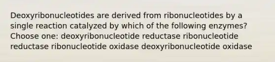 Deoxyribonucleotides are derived from ribonucleotides by a single reaction catalyzed by which of the following enzymes? Choose one: deoxyribonucleotide reductase ribonucleotide reductase ribonucleotide oxidase deoxyribonucleotide oxidase