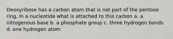 Deoxyribose has a carbon atom that is not part of the pentose ring, In a nucleotide what is attached to this carbon a. a nitrogenous base b. a phosphate group c. three hydrogen bonds d. one hydrogen atom