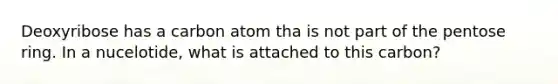 Deoxyribose has a carbon atom tha is not part of the pentose ring. In a nucelotide, what is attached to this carbon?