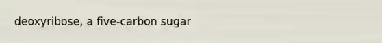 deoxyribose, a five-carbon sugar