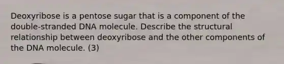 Deoxyribose is a pentose sugar that is a component of the double-stranded DNA molecule. Describe the structural relationship between deoxyribose and the other components of the DNA molecule. (3)