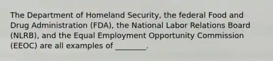 The Department of Homeland Security, the federal Food and Drug Administration (FDA), the National Labor Relations Board (NLRB), and the Equal Employment Opportunity Commission (EEOC) are all examples of ________.