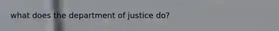 what does the department of justice do?