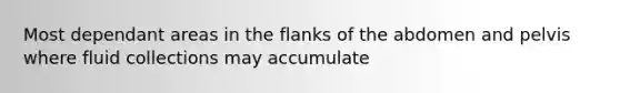 Most dependant areas in the flanks of the abdomen and pelvis where fluid collections may accumulate