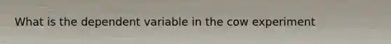 What is the dependent variable in the cow experiment