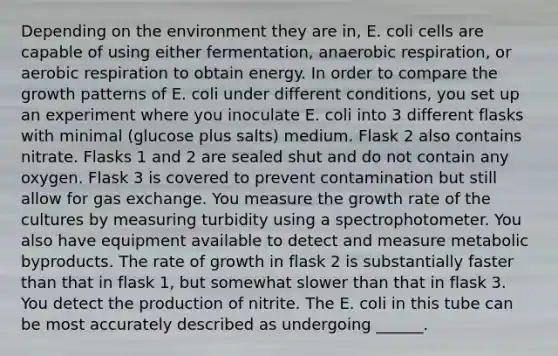 Depending on the environment they are in, E. coli cells are capable of using either fermentation, an<a href='https://www.questionai.com/knowledge/kyxGdbadrV-aerobic-respiration' class='anchor-knowledge'>aerobic respiration</a>, or aerobic respiration to obtain energy. In order to compare the growth patterns of E. coli under different conditions, you set up an experiment where you inoculate E. coli into 3 different flasks with minimal (glucose plus salts) medium. Flask 2 also contains nitrate. Flasks 1 and 2 are sealed shut and do not contain any oxygen. Flask 3 is covered to prevent contamination but still allow for <a href='https://www.questionai.com/knowledge/kU8LNOksTA-gas-exchange' class='anchor-knowledge'>gas exchange</a>. You measure the growth rate of the cultures by measuring turbidity using a spectrophotometer. You also have equipment available to detect and measure metabolic byproducts. The rate of growth in flask 2 is substantially faster than that in flask 1, but somewhat slower than that in flask 3. You detect the production of nitrite. The E. coli in this tube can be most accurately described as undergoing ______.