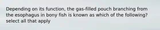 Depending on its function, the gas-filled pouch branching from the esophagus in bony fish is known as which of the following? select all that apply