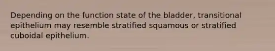 Depending on the function state of the bladder, transitional epithelium may resemble stratified squamous or stratified cuboidal epithelium.