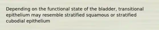 Depending on the functional state of the bladder, transitional epithelium may resemble stratified squamous or stratified cubodial epithelium