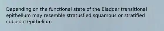 Depending on the functional state of the Bladder transitional epithelium may resemble stratusfied squamous or stratified cuboidal epithelium