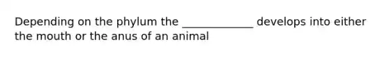 Depending on the phylum the _____________ develops into either the mouth or the anus of an animal