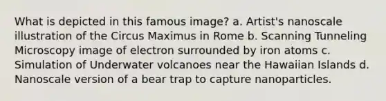 What is depicted in this famous image? a. Artist's nanoscale illustration of the Circus Maximus in Rome b. Scanning Tunneling Microscopy image of electron surrounded by iron atoms c. Simulation of Underwater volcanoes near the Hawaiian Islands d. Nanoscale version of a bear trap to capture nanoparticles.