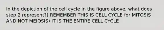 In the depiction of the cell cycle in the figure above, what does step 2 represent?( REMEMBER THIS IS CELL CYCLE for MITOSIS AND NOT MEIOSIS) IT IS THE ENTIRE CELL CYCLE