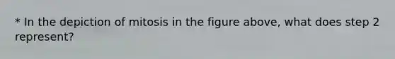 * ​In the depiction of mitosis in the figure above, what does step 2 represent?