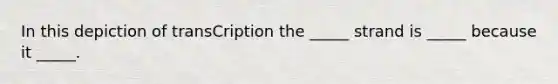 In this depiction of transCription the _____ strand is _____ because it _____.