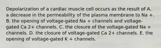 Depolarization of a cardiac muscle cell occurs as the result of A. a decrease in the permeability of the plasma membrane to Na +. B. the opening of voltage-gated Na + channels and voltage-gated Ca 2+ channels. C. the closure of the voltage-gated Na + channels. D. the closure of voltage-gated Ca 2+ channels. E. the opening of voltage-gated K + channels.