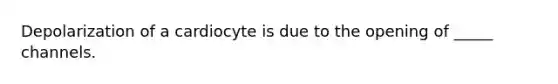 Depolarization of a cardiocyte is due to the opening of _____ channels.