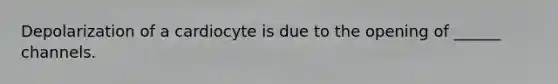 Depolarization of a cardiocyte is due to the opening of ______ channels.