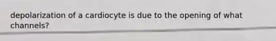 depolarization of a cardiocyte is due to the opening of what channels?