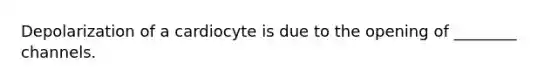 Depolarization of a cardiocyte is due to the opening of ________ channels.