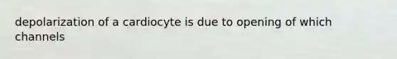 depolarization of a cardiocyte is due to opening of which channels