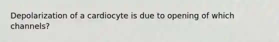 Depolarization of a cardiocyte is due to opening of which channels?