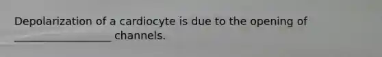 Depolarization of a cardiocyte is due to the opening of __________________ channels.