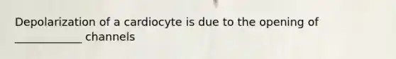 Depolarization of a cardiocyte is due to the opening of ____________ channels