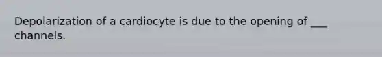 Depolarization of a cardiocyte is due to the opening of ___ channels.