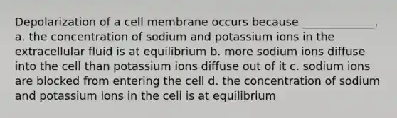 Depolarization of a cell membrane occurs because _____________. a. the concentration of sodium and potassium ions in the extracellular fluid is at equilibrium b. more sodium ions diffuse into the cell than potassium ions diffuse out of it c. sodium ions are blocked from entering the cell d. the concentration of sodium and potassium ions in the cell is at equilibrium