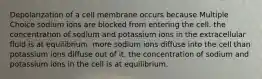 Depolarization of a cell membrane occurs because Multiple Choice sodium ions are blocked from entering the cell. the concentration of sodium and potassium ions in the extracellular fluid is at equilibrium. more sodium ions diffuse into the cell than potassium ions diffuse out of it. the concentration of sodium and potassium ions in the cell is at equilibrium.