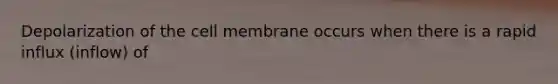 Depolarization of the cell membrane occurs when there is a rapid influx (inflow) of