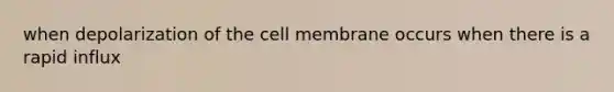 when depolarization of the cell membrane occurs when there is a rapid influx