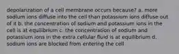 depolarization of a cell membrane occurs because? a. more sodium ions diffuse into the cell than potassium ions diffuse out of it b. the concentration of sodium and potassium ions in the cell is at equilibrium c. the concentration of sodium and potassium ions in the extra cellular fluid is at equilibrium d. sodium ions are blocked from entering the cell