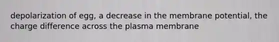 depolarization of egg, a decrease in the membrane potential, the charge difference across the plasma membrane