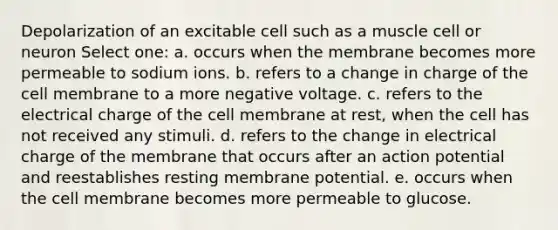 Depolarization of an excitable cell such as a muscle cell or neuron Select one: a. occurs when the membrane becomes more permeable to sodium ions. b. refers to a change in charge of the cell membrane to a more negative voltage. c. refers to the electrical charge of the cell membrane at rest, when the cell has not received any stimuli. d. refers to the change in electrical charge of the membrane that occurs after an action potential and reestablishes resting membrane potential. e. occurs when the cell membrane becomes more permeable to glucose.