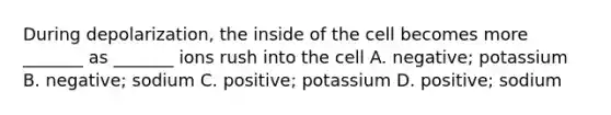 During depolarization, the inside of the cell becomes more _______ as _______ ions rush into the cell A. negative; potassium B. negative; sodium C. positive; potassium D. positive; sodium