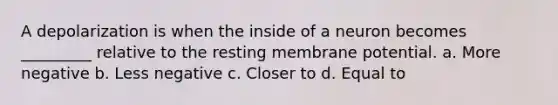 A depolarization is when the inside of a neuron becomes _________ relative to the resting membrane potential. a. More negative b. Less negative c. Closer to d. Equal to