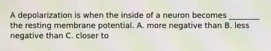 A depolarization is when the inside of a neuron becomes ________ the resting membrane potential. A. more negative than B. less negative than C. closer to