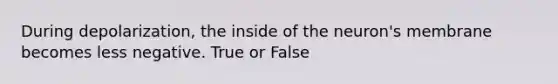 During depolarization, the inside of the neuron's membrane becomes less negative. True or False