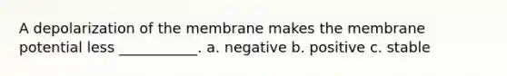 A depolarization of the membrane makes the membrane potential less ___________. a. negative b. positive c. stable