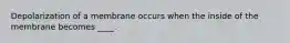 Depolarization of a membrane occurs when the inside of the membrane becomes ____.