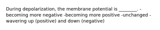 During depolarization, the membrane potential is ________. -becoming more negative -becoming more positive -unchanged -wavering up (positive) and down (negative)