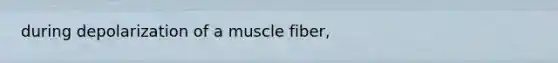 during depolarization of a muscle fiber,