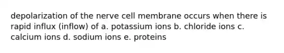 depolarization of the nerve cell membrane occurs when there is rapid influx (inflow) of a. potassium ions b. chloride ions c. calcium ions d. sodium ions e. proteins