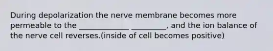 During depolarization the nerve membrane becomes more permeable to the _____________ _________, and the ion balance of the nerve cell reverses.(inside of cell becomes positive)