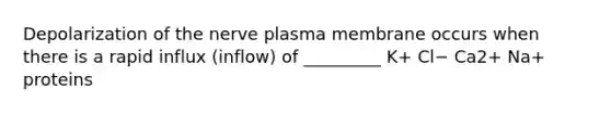 Depolarization of the nerve plasma membrane occurs when there is a rapid influx (inflow) of _________ K+ Cl− Ca2+ Na+ proteins