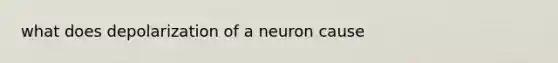 what does depolarization of a neuron cause